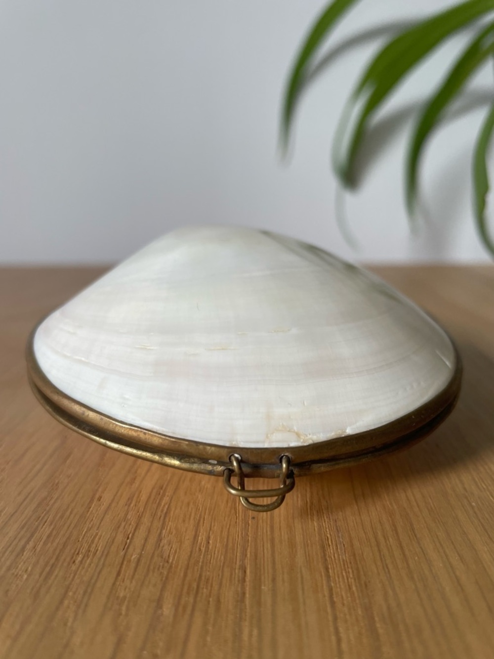 Vintage Seashell Brass Hinged Trinket Ring Box
